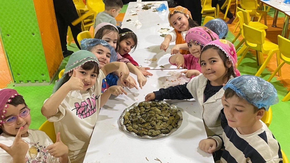 AMASYA'YI YAŞIYORUM PROJESİ